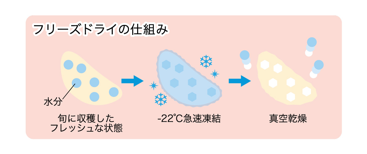 フリーズドライさくっとりんご_仕組み.jpg