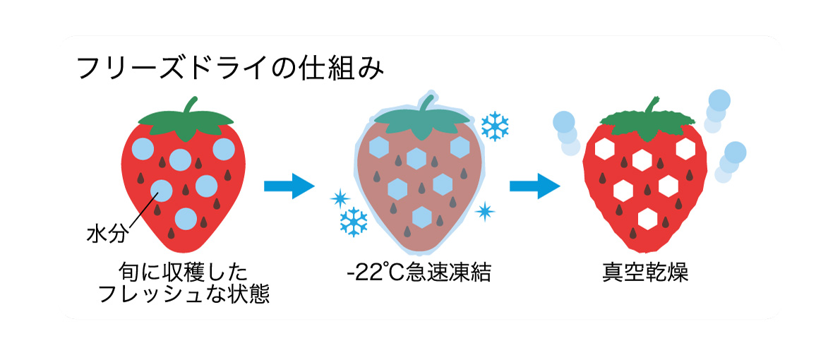 フリーズドライさくっといちご_仕組み.jpg